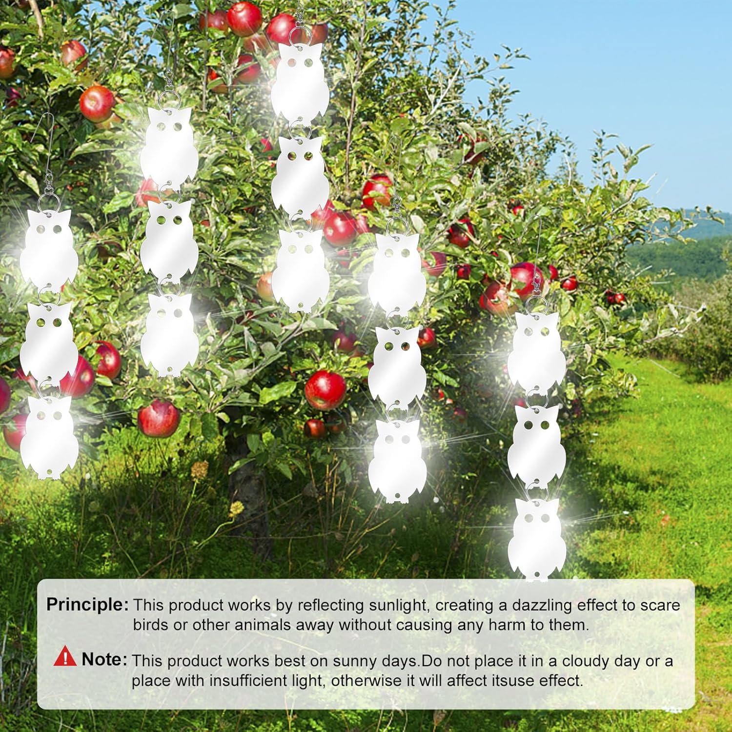 XPCARE 48-Piece Dual-Sided Reflective Bird Scare Discs – Humane Garden Deterrent for Woodpeckers, Pigeons & Ducks – Includes Hooks & Swivels for Hanging