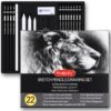 PANDAFLY Premium Sketch Pencil Set – 22 Piece Complete Drawing & Charcoal Art Kit for Artists & Beginners