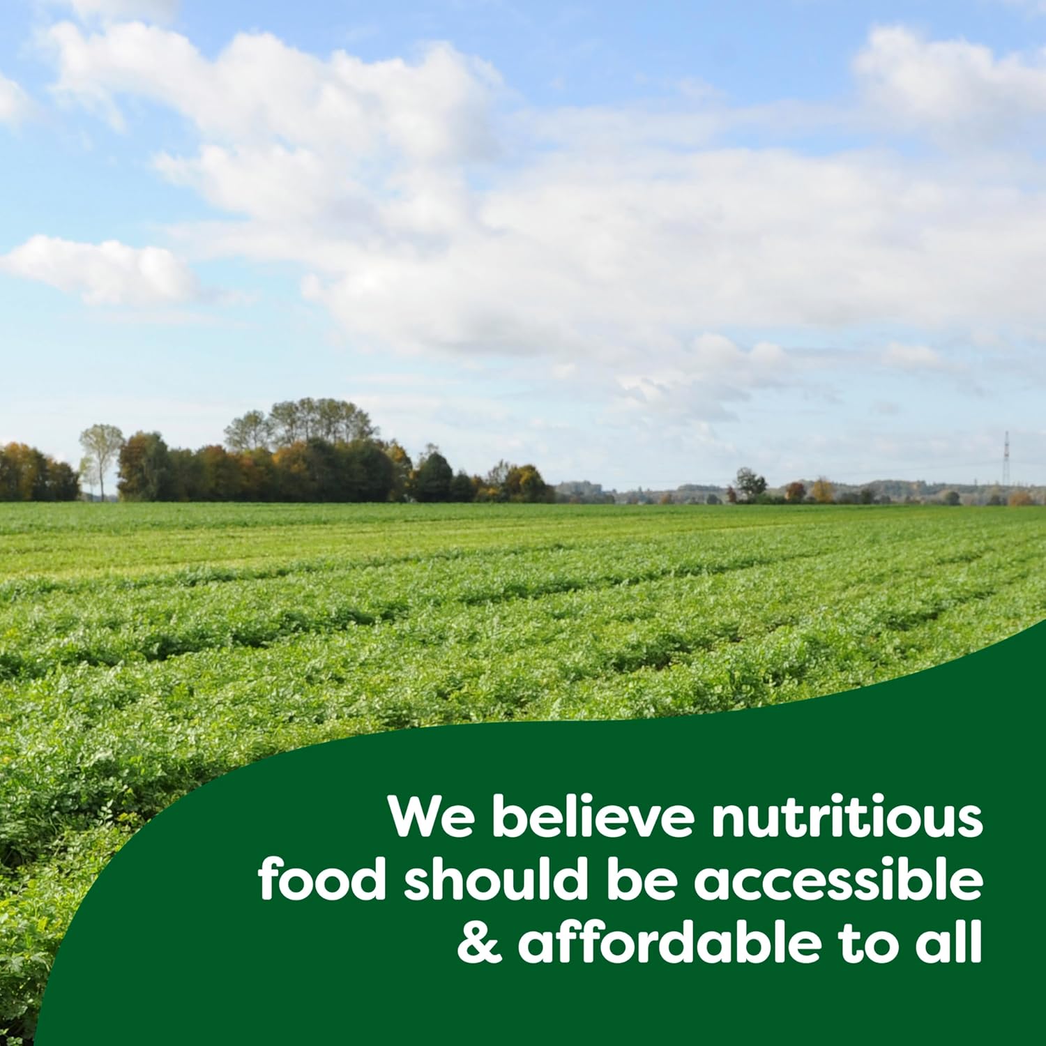 Knorr Leek Recipe Mix | No Artificial Flavors | versatile Dry Soup Mix for Dips, Sauces, and Potato Leek Soup (1.8 oz)