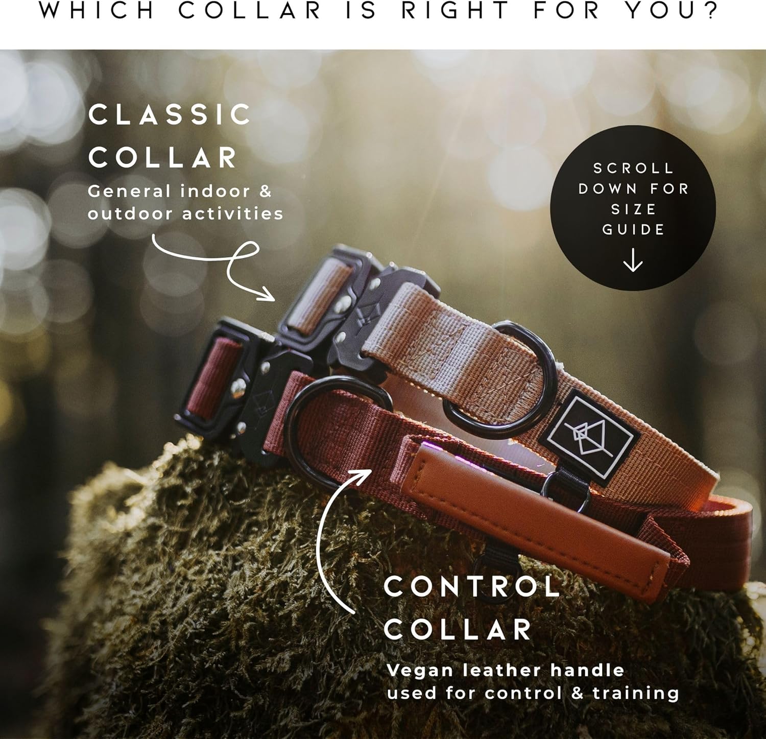 Made to ROAM Premium Heavy Duty Dog Collar – Rust-Proof Metal Buckle & Double-Layered Nylon for Training & Outdoor Adventures