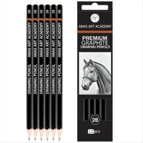 Anas Art Academy Premium 2B Graphite Sketching Pencils (12 Count) – Professional Hexagonal Design for Shading, Sketching & Doodling – Ideal for Artists, Students, & Beginners