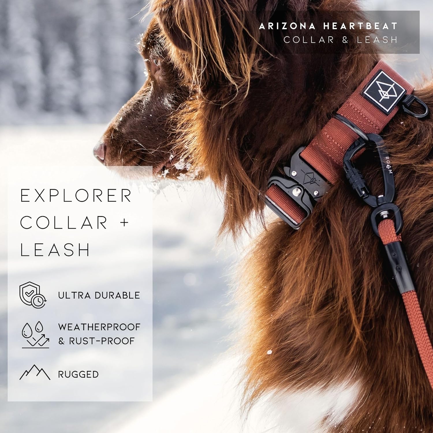 Made to ROAM Premium Heavy Duty Dog Collar – Rust-Proof Metal Buckle & Double-Layered Nylon for Training & Outdoor Adventures