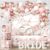 Cocomigo Rose Gold Bridal Shower Decorations (330-Piece Kit) – Complete 'Bride to Be' Party Set with 350gsm Tableware, Balloon Arch, Photo Props, Veil & Sash for 25 Guests