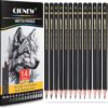 Professional Sketching Pencil Set - 14 Pack Graphite Drawing Pencils (12B-5H), Premium Art Supplies for Sketching, Shading & Drawing - Ideal for Beginners & Artists