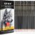 Professional Sketching Pencil Set - 14 Pack Graphite Drawing Pencils (12B-5H), Premium Art Supplies for Sketching, Shading & Drawing - Ideal for Beginners & Artists