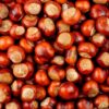 Fresh Raw Chestnuts (5 lb Bulk Box) – Premium Roasting & Cooking Nuts for Holiday Recipes | Naturally Sweet, High Fiber, Non-GMO, Gluten-Free Healthy Snack