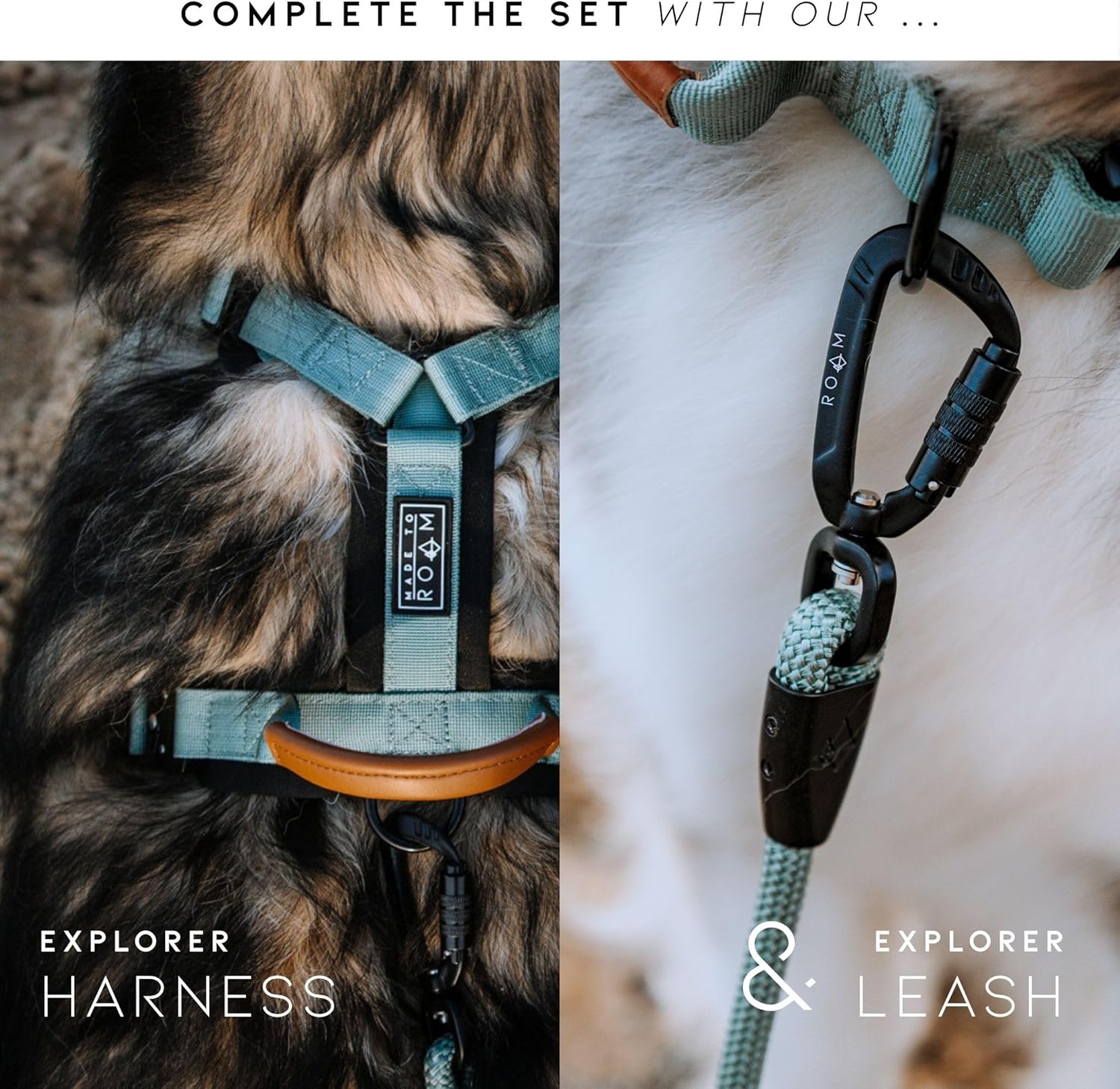 Made to ROAM Premium Heavy Duty Dog Collar – Rust-Proof Metal Buckle & Double-Layered Nylon for Training & Outdoor Adventures