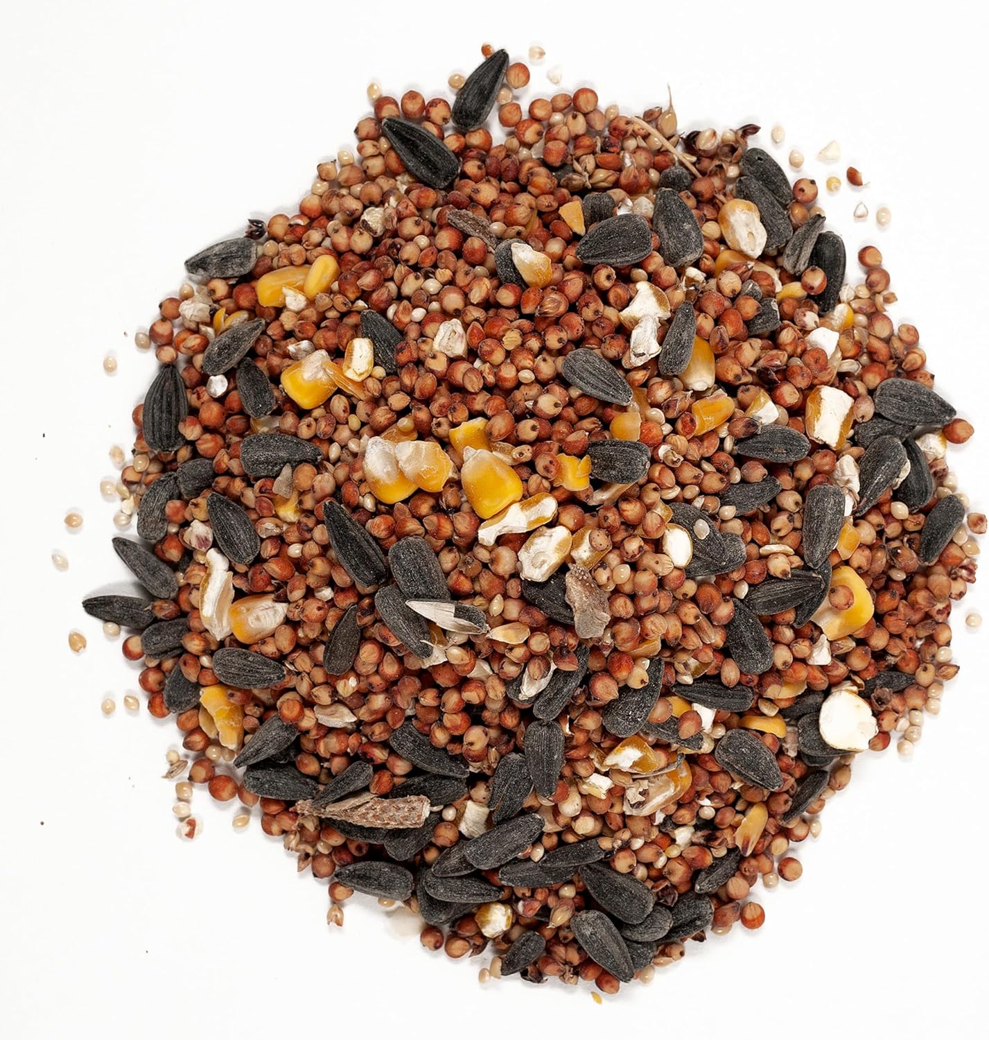 Wagner's 53003 Farmer's Delight Wild Bird Food – 20 lb. Bag of Cherry-Flavored Blend for Ground Feeding Birds