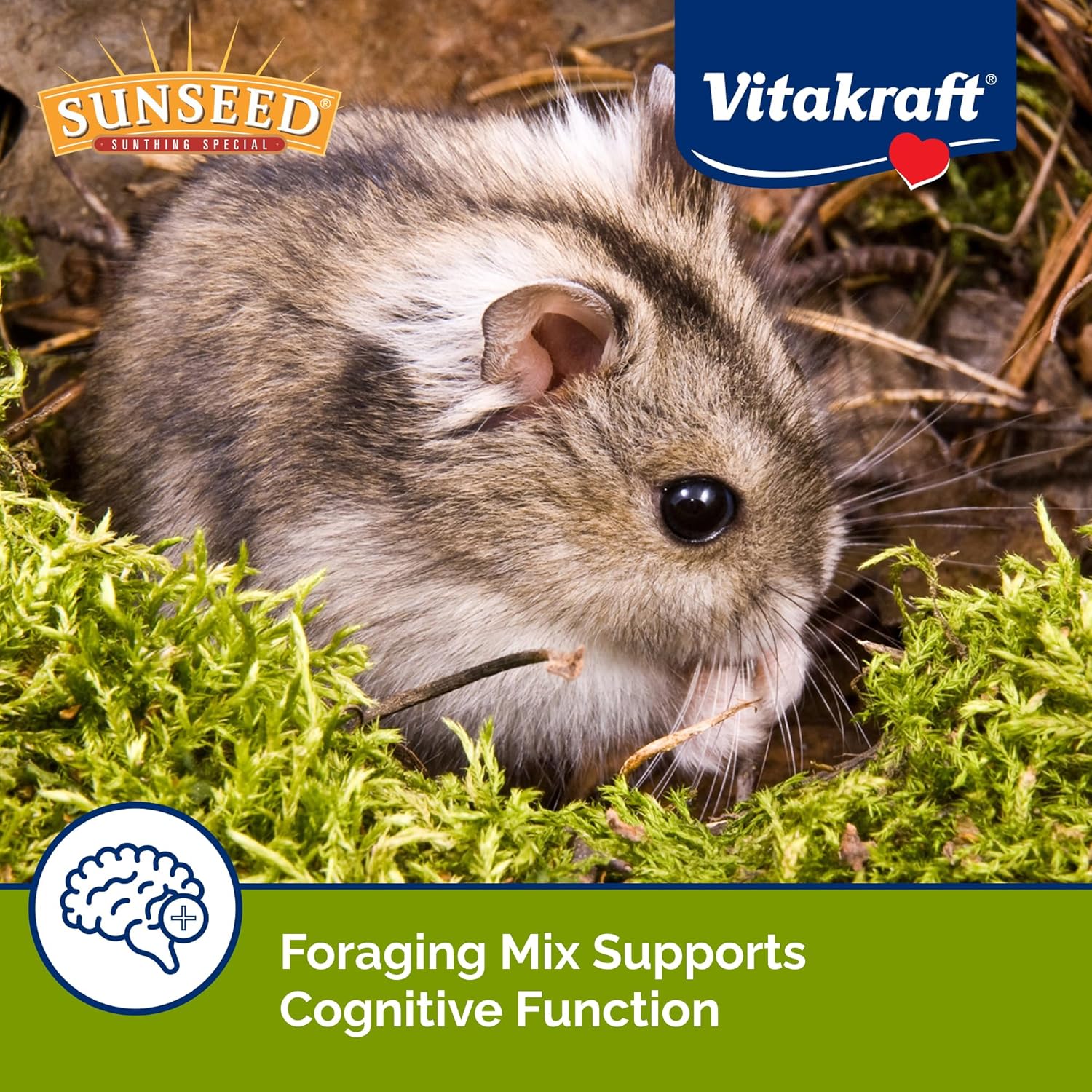 Vitakraft Sunseed Vita Prima Dwarf Hamster Food – 2 lb Nutritious Blend with Fruits, Veggies, Seeds & Grains for Small Animals