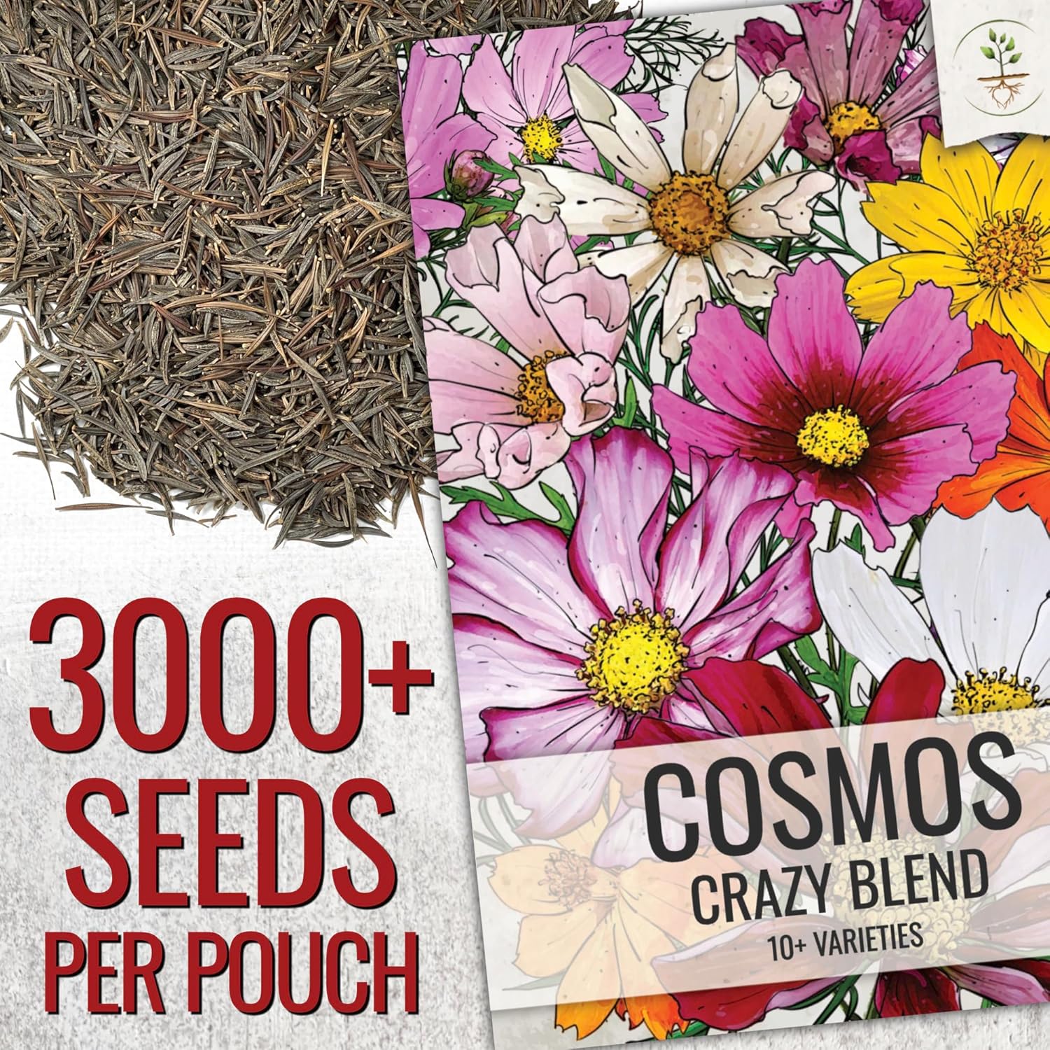 Cosmos Crazy Blend Flower Seeds – 10+ Varieties, Non-GMO & Open Pollinated – Bulk Resealable Packet for Butterfly Gardens, Cut Flowers & Xeriscaping