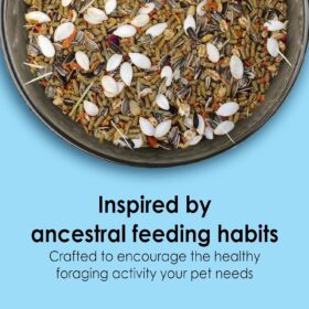 Kaytee Food from The Wild Natural Hamster Food – 2 lb Foraging Blend with Probiotics