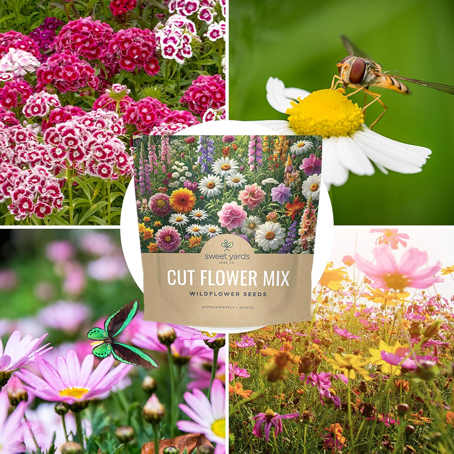 1 Ounce Cut Flower Garden Seeds Mix – Over 7,500 Non-GMO Annual & Perennial Wildflowers for Bouquets