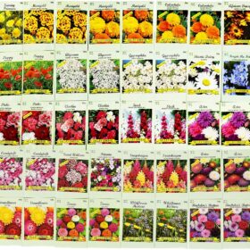 Bulk 50-Packet Wildflower Seed Collection – Over 10 Varieties for Pollinators & Butterflies