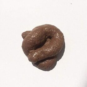 Realistic Prank Poop Toy - Brown Fake Feces Gag Gift for April Fools' Day Party Pranks