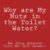 Why Are My Nuts in the Toilet Water? And Other Questions Older Men Need Answered
