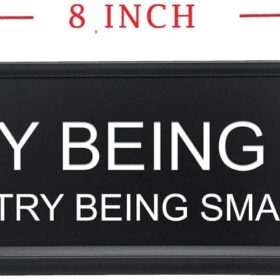 Sarcastic Desk Sign – 'I'll Try Being Nicer If You Try Being Smarter' – Funny Snarky Office Decor for Coworkers, Bosses, & Teachers