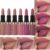 6-Piece Matte Lipstick Set - Nude Pink Brown Rose Red Purple Long-Wear Waterproof Moisturizing Lipsticks for Women Vegan Makeup Gift