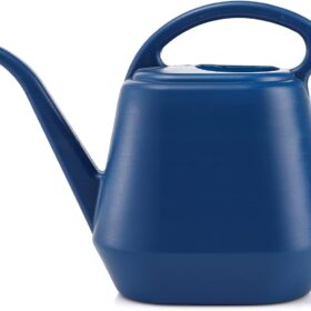 Fasmov 1-Gallon Plastic Watering Can with Long Spout - Ergonomic Garden & Indoor Plant Watering Jug, Blue