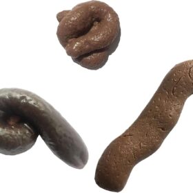 Cooplay Realistic Prank Toy Set - 3pcs Funny Fake Poop Models for Adult Party Tricks Halloween April Fools Gag Gifts