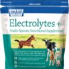 Sav-a-Caf Electrolytes Plus Equine Supplement - 6 lb Bag | Horse Health & Hydration Support