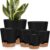Self Watering Planters Indoor with Saucers – 6-Piece Modern Plastic Flower Pot Set (8, 7, 6.5, 6, 5.5, 5 Inch), Matte Black Pots with Drainage Holes for Home, Office, & Garden