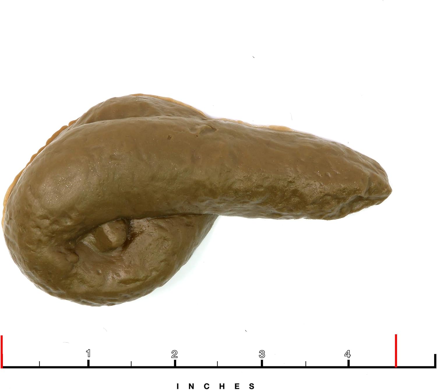 Skeleteen Realistic Fake Poop Prank Toy – 4.5 inch Lifelike Gag Gift for Halloween, April Fool's Day & Pranksters