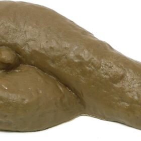 Skeleteen Realistic Fake Poop Prank Toy – 4.5 inch Lifelike Gag Gift for Halloween, April Fool's Day & Pranksters