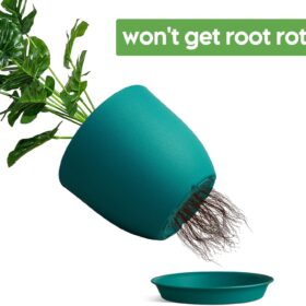 8 Inch Plant Pots Set of 4 - Modern Blue Indoor Outdoor Planters with Multi-Mesh Drainage & Saucers - Lightweight, Weather Resistant Flower Pots for Snake Plants, Succulents, Herbs, & Flowers