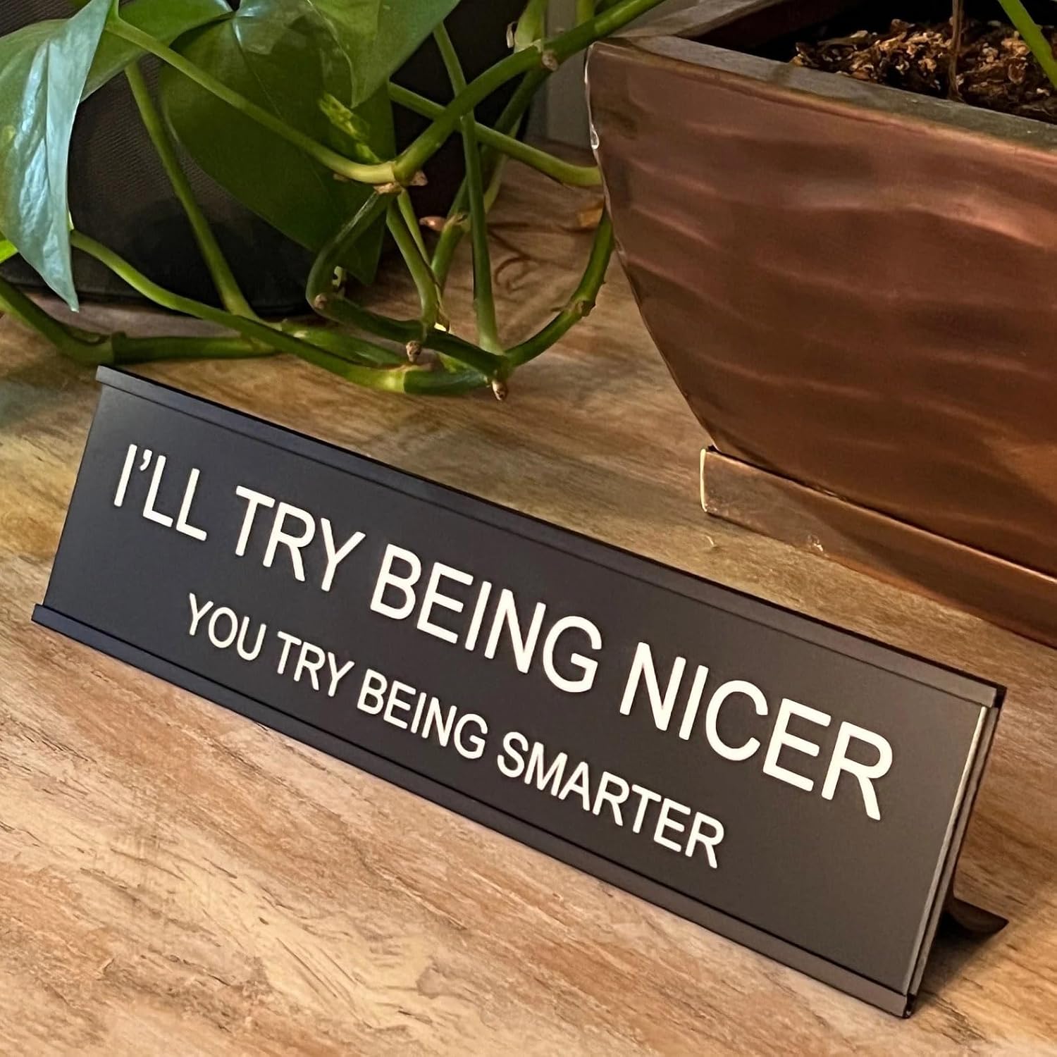 Sarcastic Desk Sign – 'I'll Try Being Nicer If You Try Being Smarter' – Funny Snarky Office Decor for Coworkers, Bosses, & Teachers