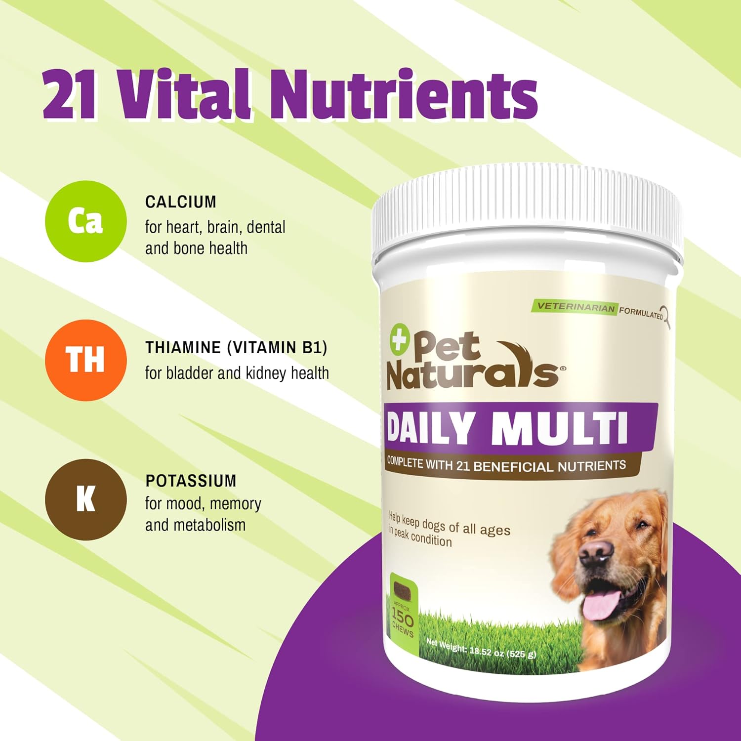 Pet Naturals Daily Multivitamin for Dogs - 150 Veggie Flavored Chews with Amino Acids & Antioxidants for Complete Dog Health Support