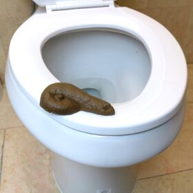 Skeleteen Realistic Fake Poop Prank Toy – 4.5 inch Lifelike Gag Gift for Halloween, April Fool's Day & Pranksters