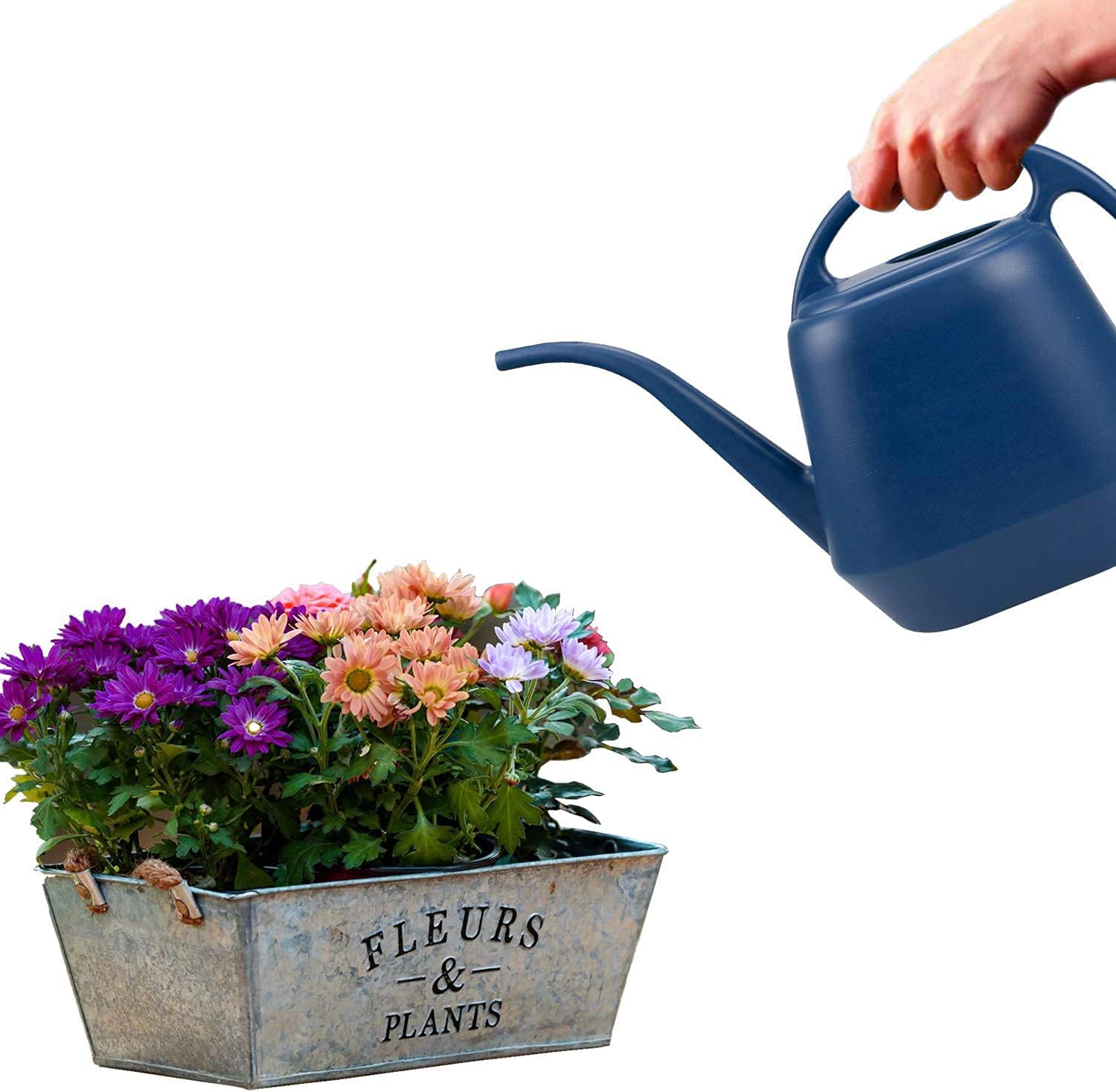 Fasmov 1-Gallon Plastic Watering Can with Long Spout - Ergonomic Garden & Indoor Plant Watering Jug, Blue