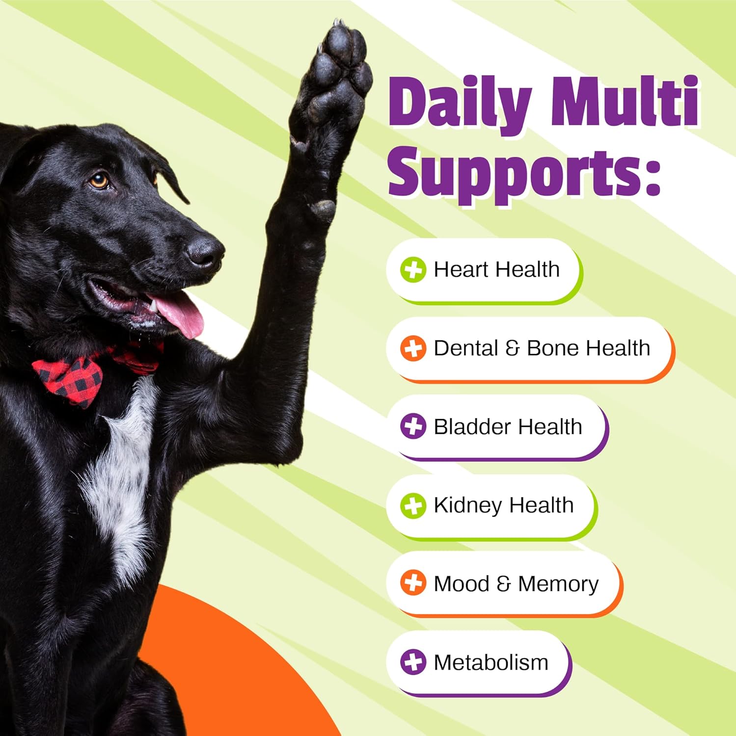 Pet Naturals Daily Multivitamin for Dogs - 150 Veggie Flavored Chews with Amino Acids & Antioxidants for Complete Dog Health Support