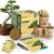 Premium Bonsai Starter Kit - Complete 4-Type Seed Growing Set with Tools & Guide for Beginners - DIY Indoor/Outdoor Garden Craft Gift