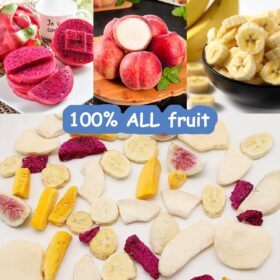 ONETANG Freeze-Dried Mixed Fruit Snacks – 12 Count Variety Pack, Crispy Apple, Mango, Banana, Dragon Fruit, Peach & Fig – Non-GMO, Kosher, Vegan, Gluten-Free & Sugar-Free