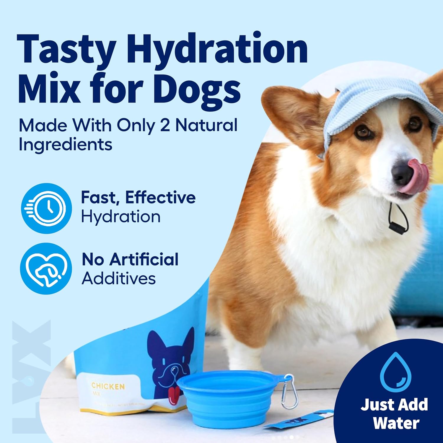 LYX Essential Hydration for Dogs – Electrolyte & Nutrient Water Additive for Active & Senior Dogs – Supports Hydration, Recovery & Wellness – Chicken Flavor – 7 Travel-Friendly Packets