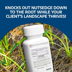 Sedgehammer Herbicide - 1.33oz Post-Emergent Nutsedge Killer for Lawns - USA-Made Pet-Safe Weed Control for Residential & Commercial Use - Also Effective on Horsetail & Kyllinga