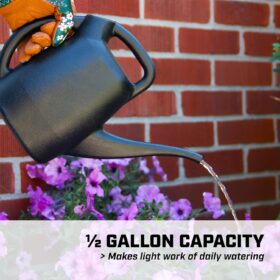 Chapin 48000 Watering Can - 0.5 Gallon Recycled Plastic Indoor Outdoor Plant Mister - Made in USA, Black